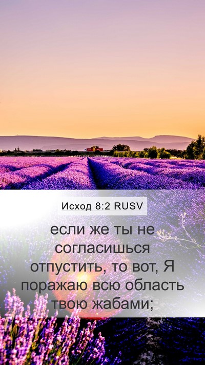 Исход 8:2 RUSV Bible Verse Image