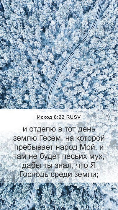Исход 8:22 RUSV Bible Verse Image