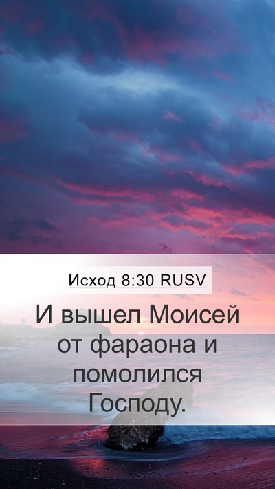 Исход 8:30 RUSV Bible Verse Image