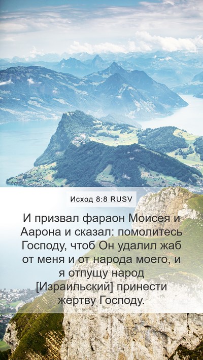 Исход 8:8 RUSV Bible Verse Image