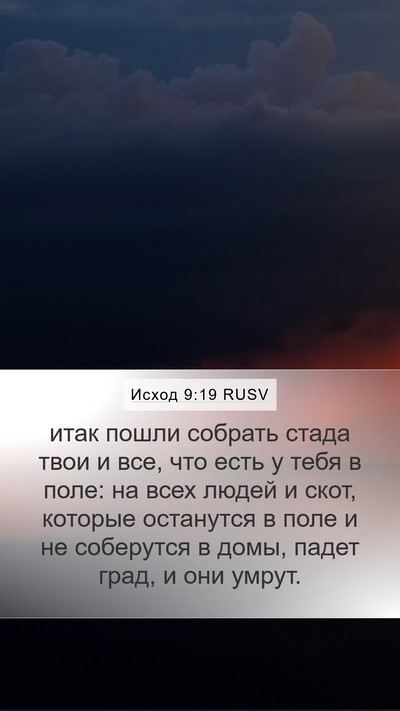 Исход 9:19 RUSV Bible Verse Image