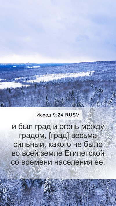 Исход 9:24 RUSV Bible Verse Image