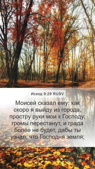 Исход 9:29 RUSV Bible Verse Image