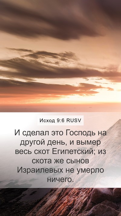 Исход 9:6 RUSV Bible Verse Image