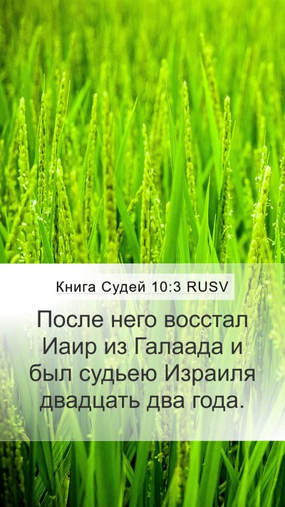 Книга Судей 10:3 RUSV Mobile Phone Wallpaper - После него восстал Иаир из - Mobile Bible Verse Wallpaper