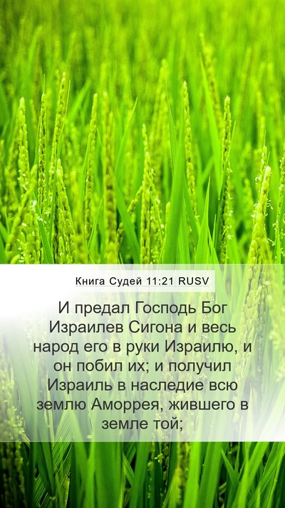 Книга Судей 11:21 RUSV Mobile Phone Wallpaper - И предал Господь Бог - Mobile Bible Verse Wallpaper