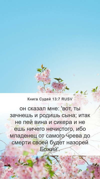 Книга Судей 13:7 RUSV Bible Verse Image