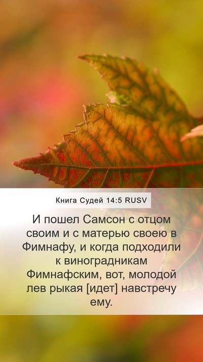 Книга Судей 14:5 RUSV Bible Verse Image