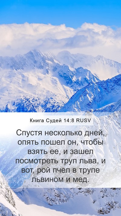 Книга Судей 14:8 RUSV Mobile Phone Wallpaper - Спустя несколько дней, - Mobile Bible Verse Wallpaper