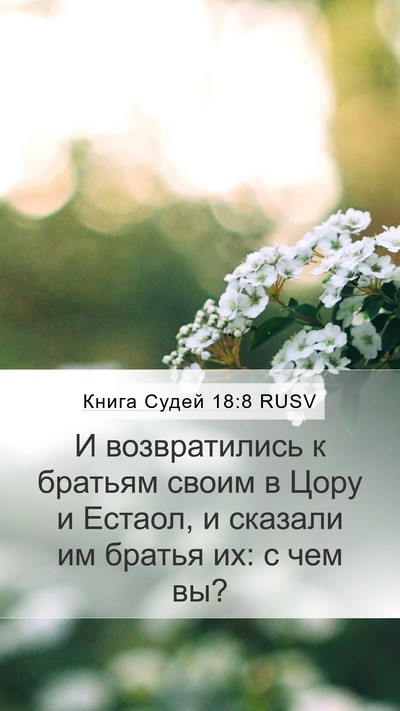 Книга Судей 18:8 RUSV Mobile Phone Wallpaper - И возвратились к братьям - Mobile Bible Verse Wallpaper