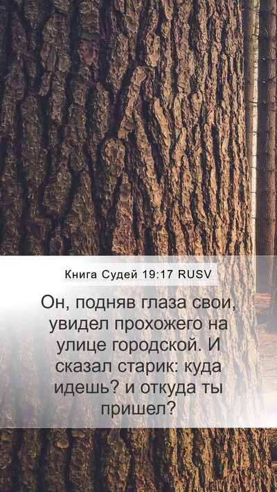 Книга Судей 19:17 RUSV Bible Verse Image
