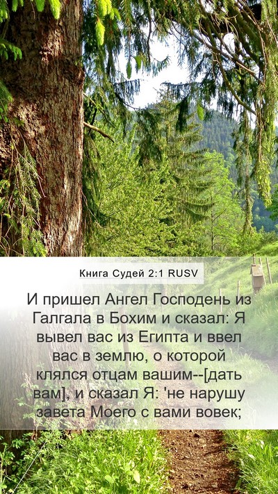 Книга Судей 2:1 RUSV Bible Verse Image