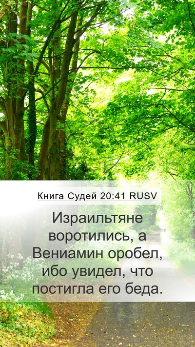Книга Судей 20:41 RUSV Bible Verse Image