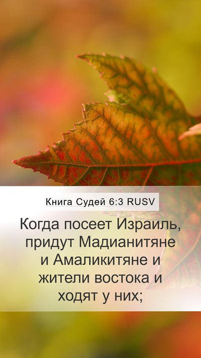 Книга Судей 6:3 RUSV Bible Verse Image