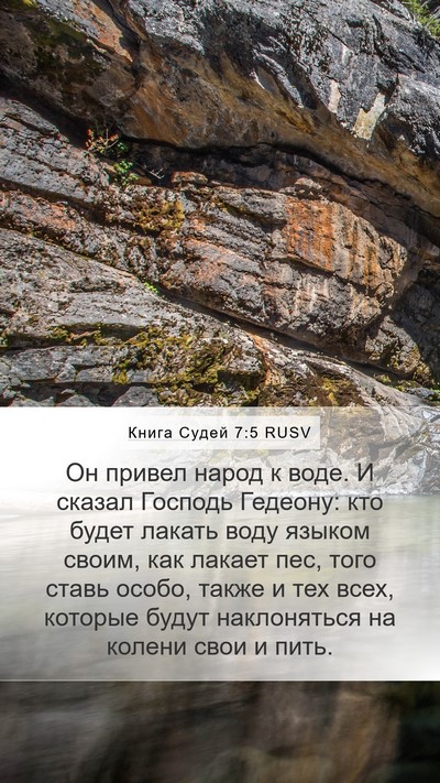 Книга Судей 7:5 RUSV Bible Verse Image