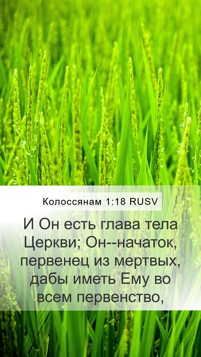 Колоссянам 1:18 RUSV Mobile Phone Wallpaper - И Он есть глава тела - Mobile Bible Verse Wallpaper