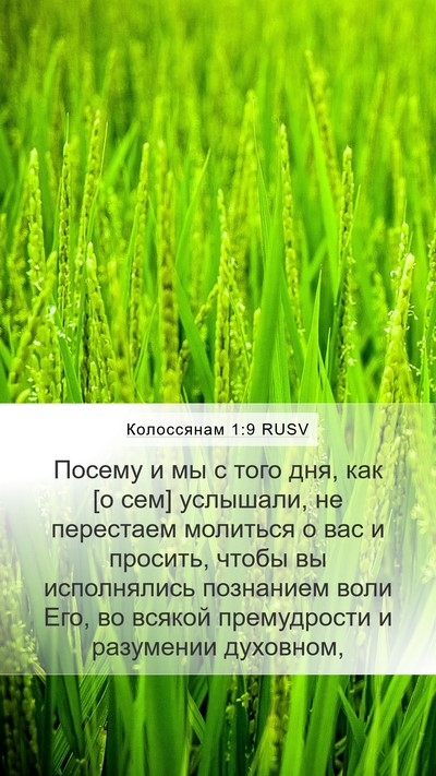 Колоссянам 1:9 RUSV Mobile Phone Wallpaper - Посему и мы с того дня, как - Mobile Bible Verse Wallpaper