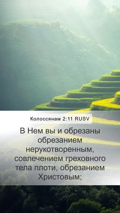 Колоссянам 2:11 RUSV Bible Verse Image