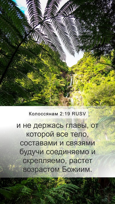 Колоссянам 2:19 RUSV Bible Verse Image