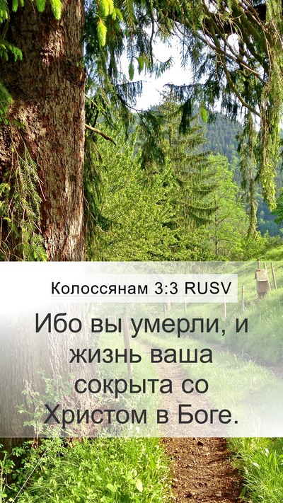 Колоссянам 3:3 RUSV Bible Verse Image