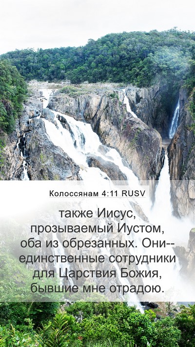 Колоссянам 4:11 RUSV Bible Verse Image