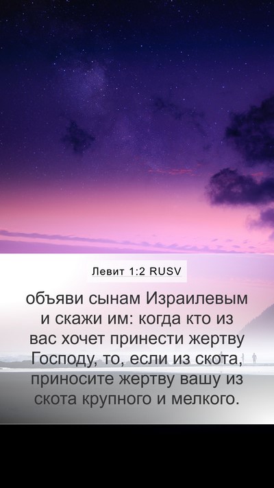Левит 1:2 RUSV Mobile Phone Wallpaper - объяви сынам Израилевым и - Mobile Bible Verse Wallpaper