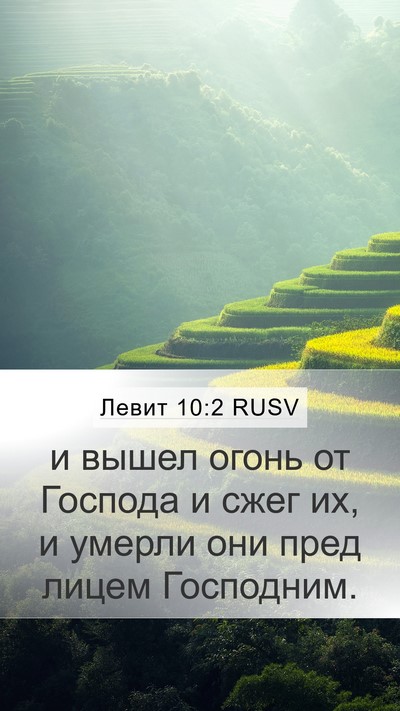 Левит 10:2 RUSV Bible Verse Image