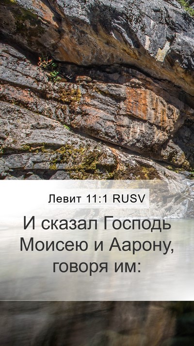 Левит 11:1 RUSV Bible Verse Image