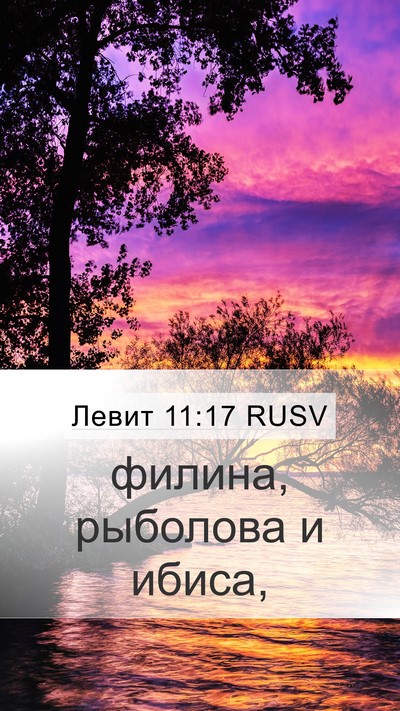 Левит 11:17 RUSV Mobile Phone Wallpaper - филина, рыболова и - Mobile Bible Verse Wallpaper