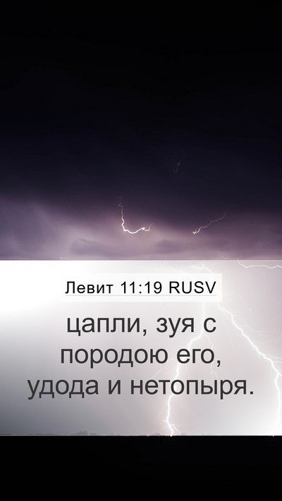 Левит 11:19 RUSV Bible Verse Image