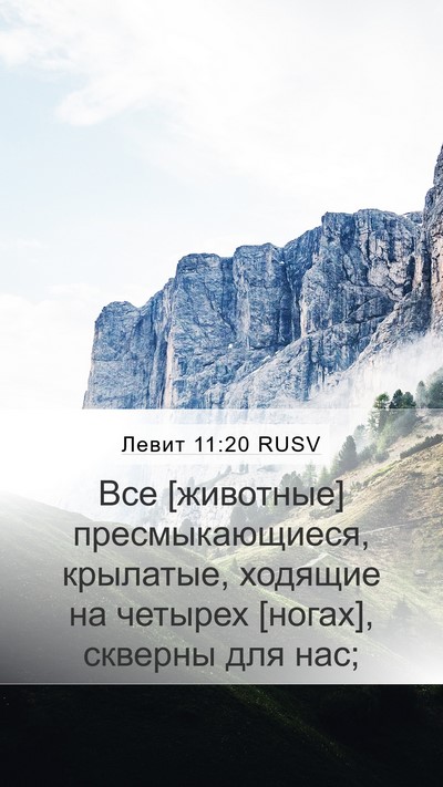 Левит 11:20 RUSV Bible Verse Image