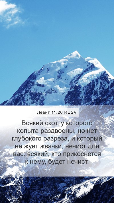 Левит 11:26 RUSV Bible Verse Image
