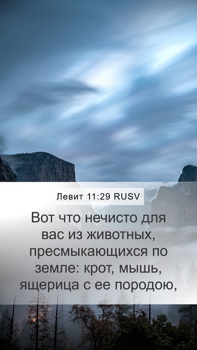 Левит 11:29 RUSV Bible Verse Image