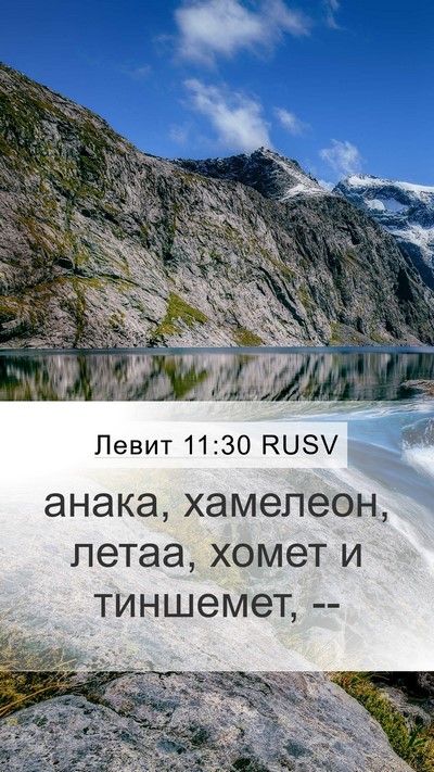 Левит 11:30 RUSV Mobile Phone Wallpaper - анака, хамелеон, летаа, - Mobile Bible Verse Wallpaper