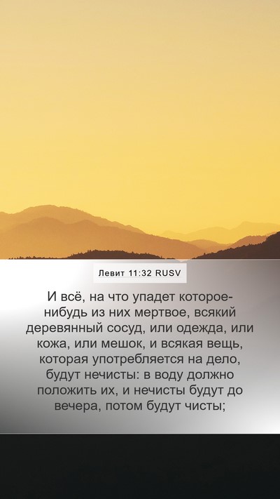 Левит 11:32 RUSV Bible Verse Image