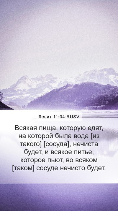 Левит 11:34 RUSV Mobile Phone Wallpaper - Всякая пища, которую едят, - Mobile Bible Verse Wallpaper