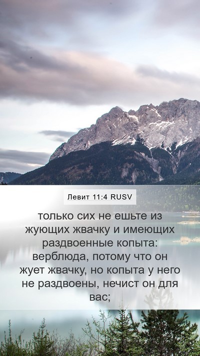 Левит 11:4 RUSV Mobile Phone Wallpaper - только сих не ешьте из - Mobile Bible Verse Wallpaper