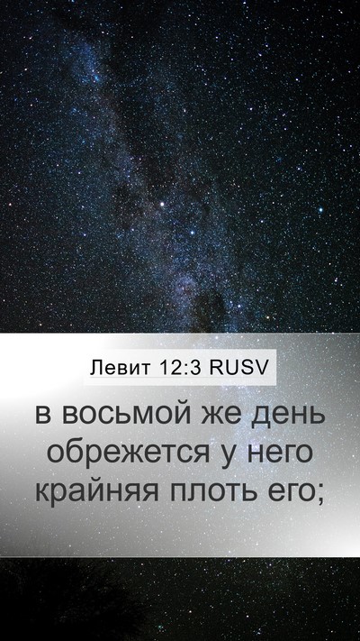 Левит 12:3 RUSV Bible Verse Image