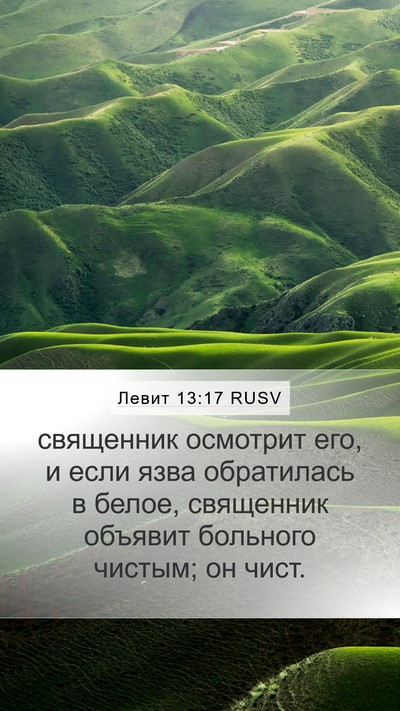 Левит 13:17 RUSV Mobile Phone Wallpaper - священник осмотрит его, и - Mobile Bible Verse Wallpaper