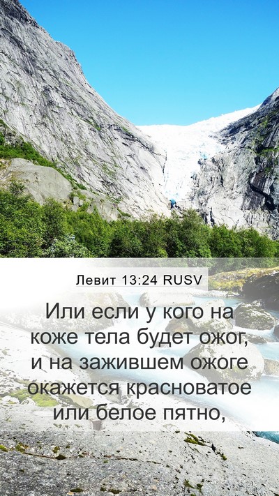Левит 13:24 RUSV Bible Verse Image