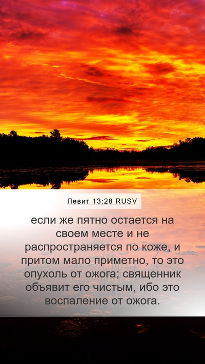 Левит 13:28 RUSV Mobile Phone Wallpaper - если же пятно остается на - Mobile Bible Verse Wallpaper