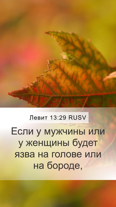 Левит 13:29 RUSV Bible Verse Image