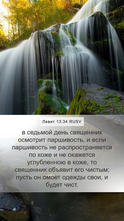 Левит 13:34 RUSV Bible Verse Image