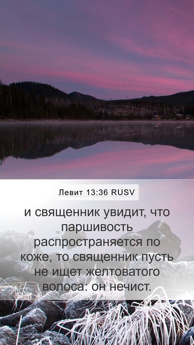 Левит 13:36 RUSV Bible Verse Image