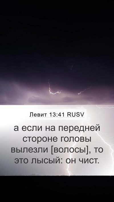 Левит 13:41 RUSV Mobile Phone Wallpaper - а если на передней стороне - Mobile Bible Verse Wallpaper