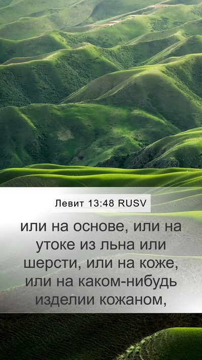 Левит 13:48 RUSV Mobile Phone Wallpaper - или на основе, или на утоке - Mobile Bible Verse Wallpaper