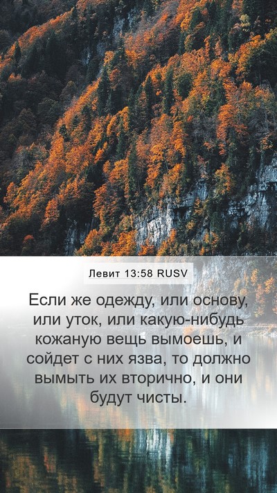 Левит 13:58 RUSV Mobile Phone Wallpaper - Если же одежду, или основу, - Mobile Bible Verse Wallpaper