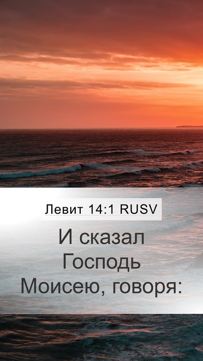 Левит 14:1 RUSV Bible Verse Image