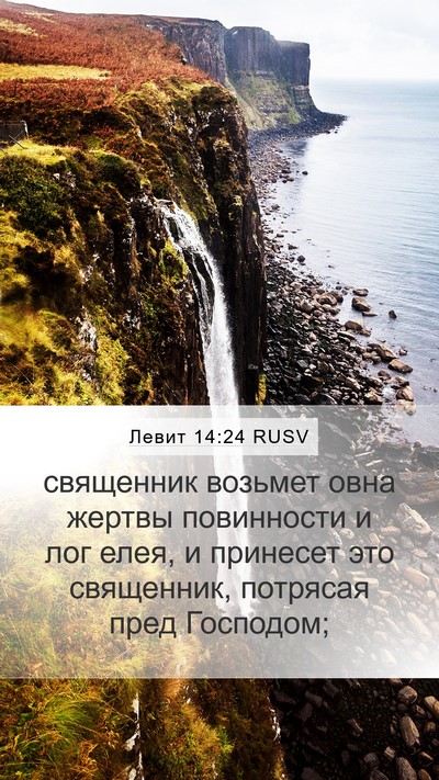 Левит 14:24 RUSV Mobile Phone Wallpaper - священник возьмет овна - Mobile Bible Verse Wallpaper