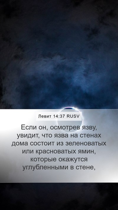 Левит 14:37 RUSV Mobile Phone Wallpaper - Если он, осмотрев язву, - Mobile Bible Verse Wallpaper